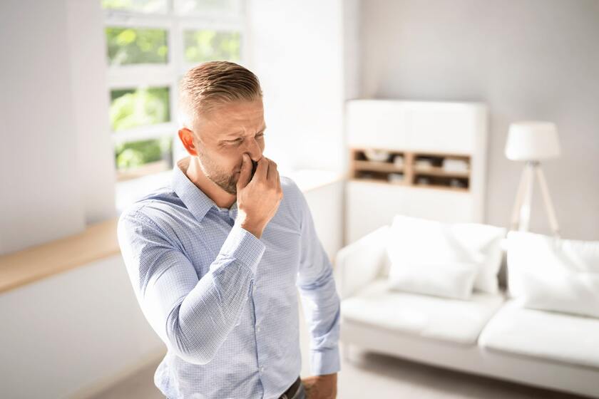 Musty Smell In Home