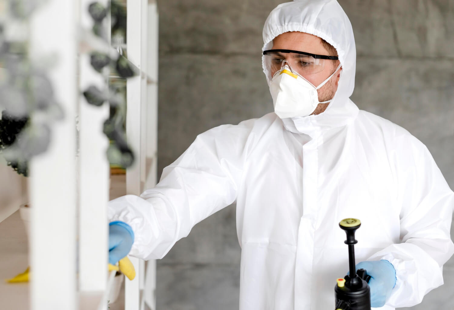 Dangers of Mold Damage