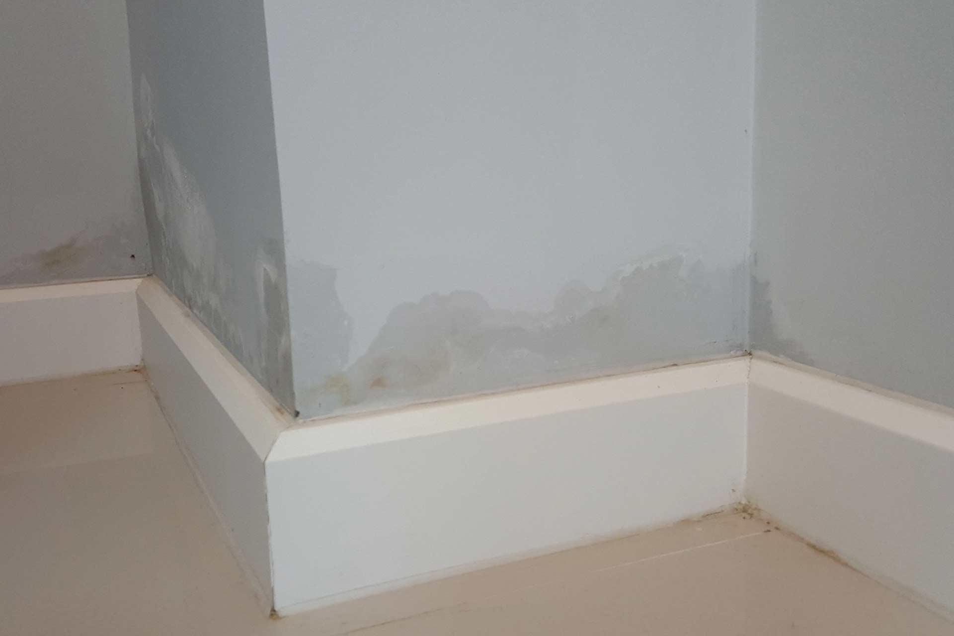 Moistured Walls In Los Angeles