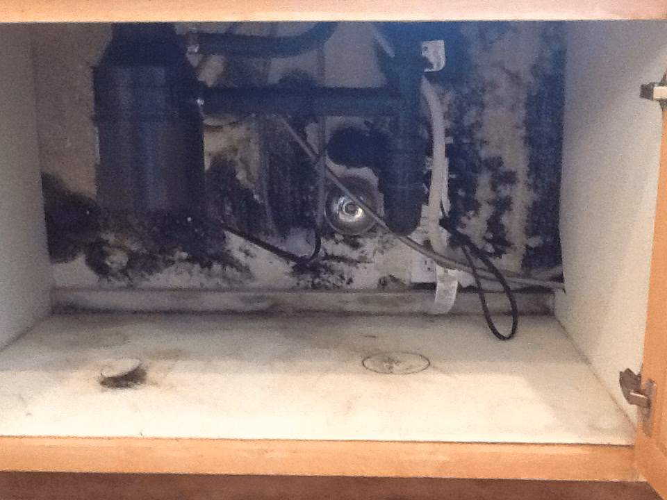 How to Clean Mold in Kitchen Cabinets